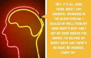 Brain - Second Quotation