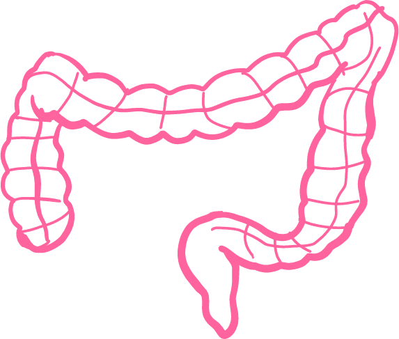 Image_GITract Bowel Dysfunction Symptoms
