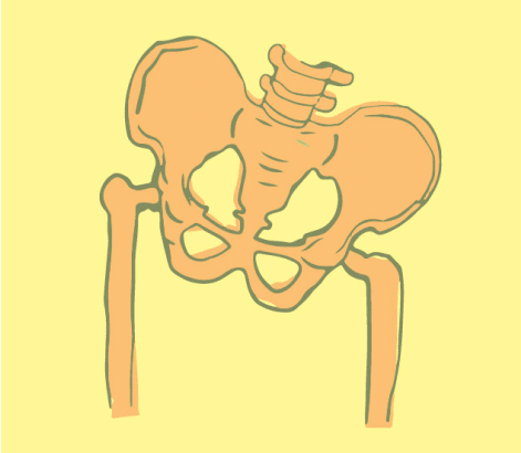 Mask Group (21) pelvic pain rehab