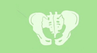 Pediatric Pelvic Floor Therapy