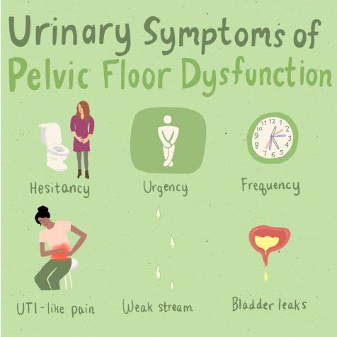 urinary symtoms of pelvic floor dsfunction urinary symtoms of pelvic floor dsfunction