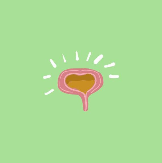 bladder2 bladder2
