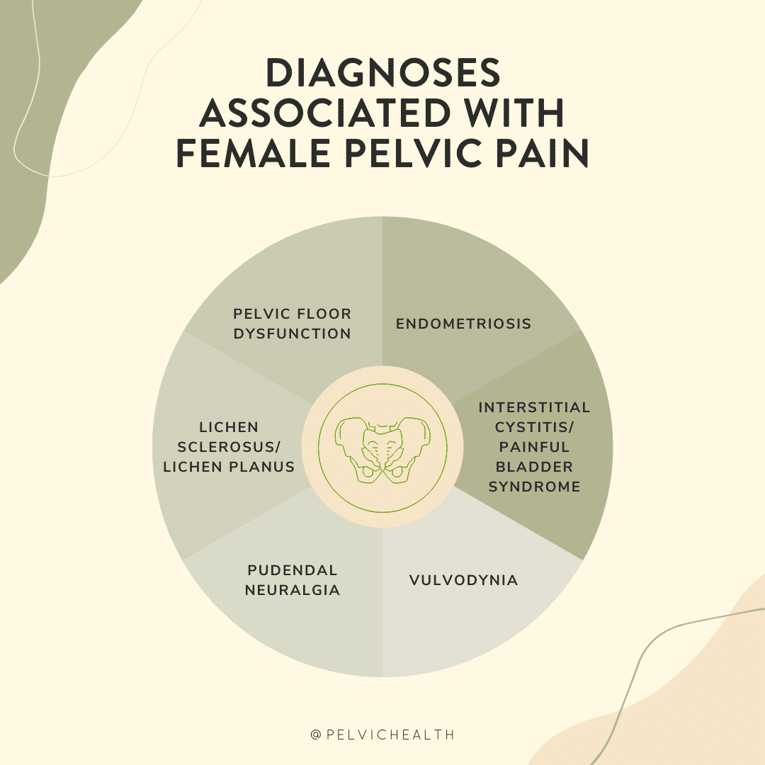Female Pelvic Pain Diagnoses Wheel