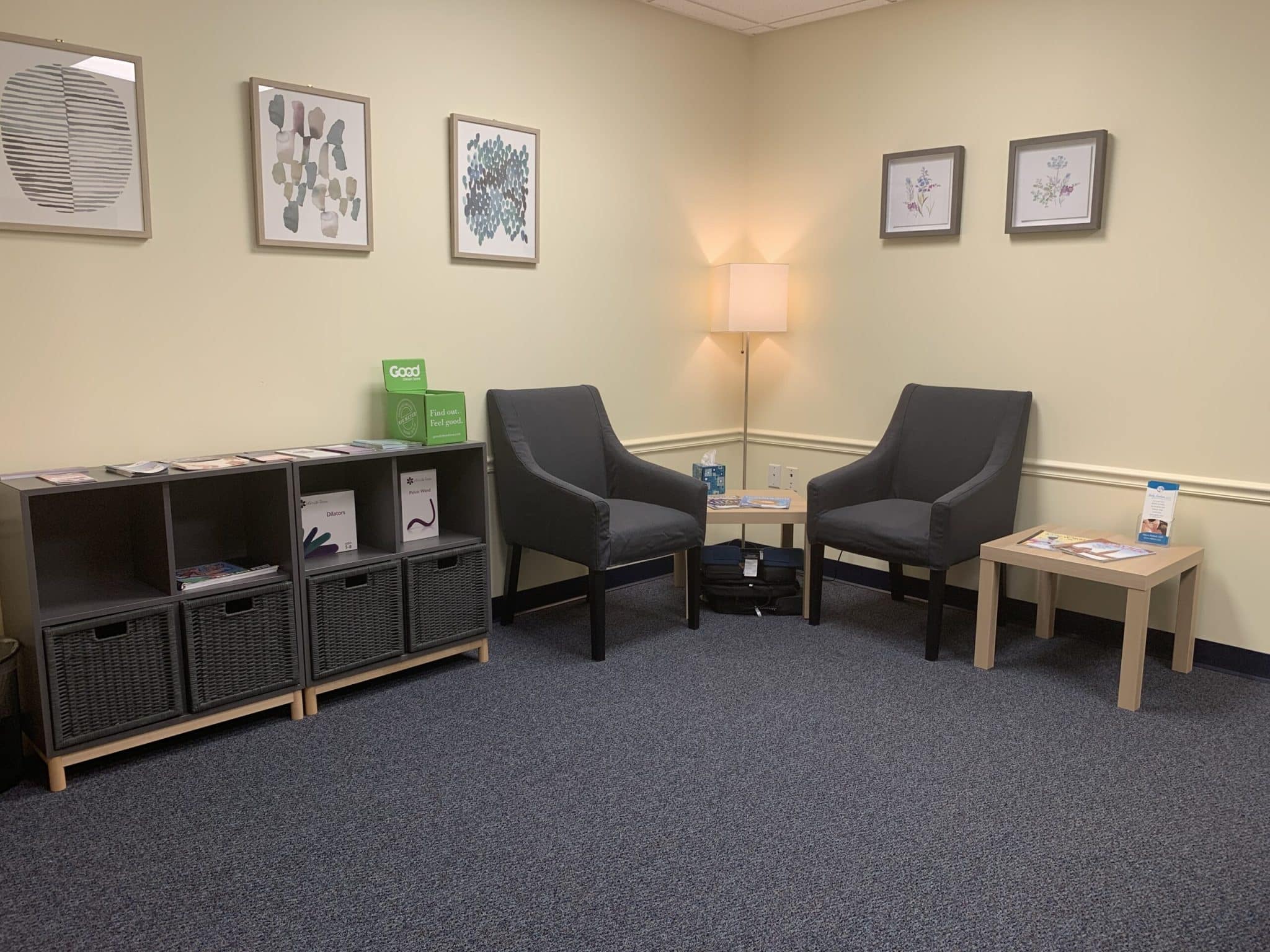 pelvicpainrehab columbus pelvicpainrehab columbus