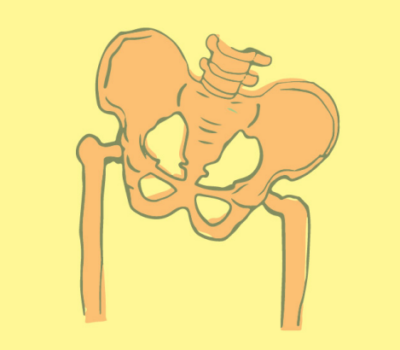 Mask Group (21) pelvic pain rehab