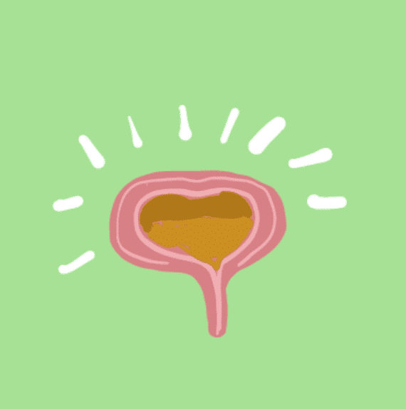 Screenshot_14 Bladder