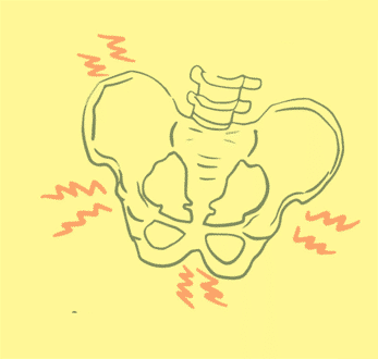pelvis-img