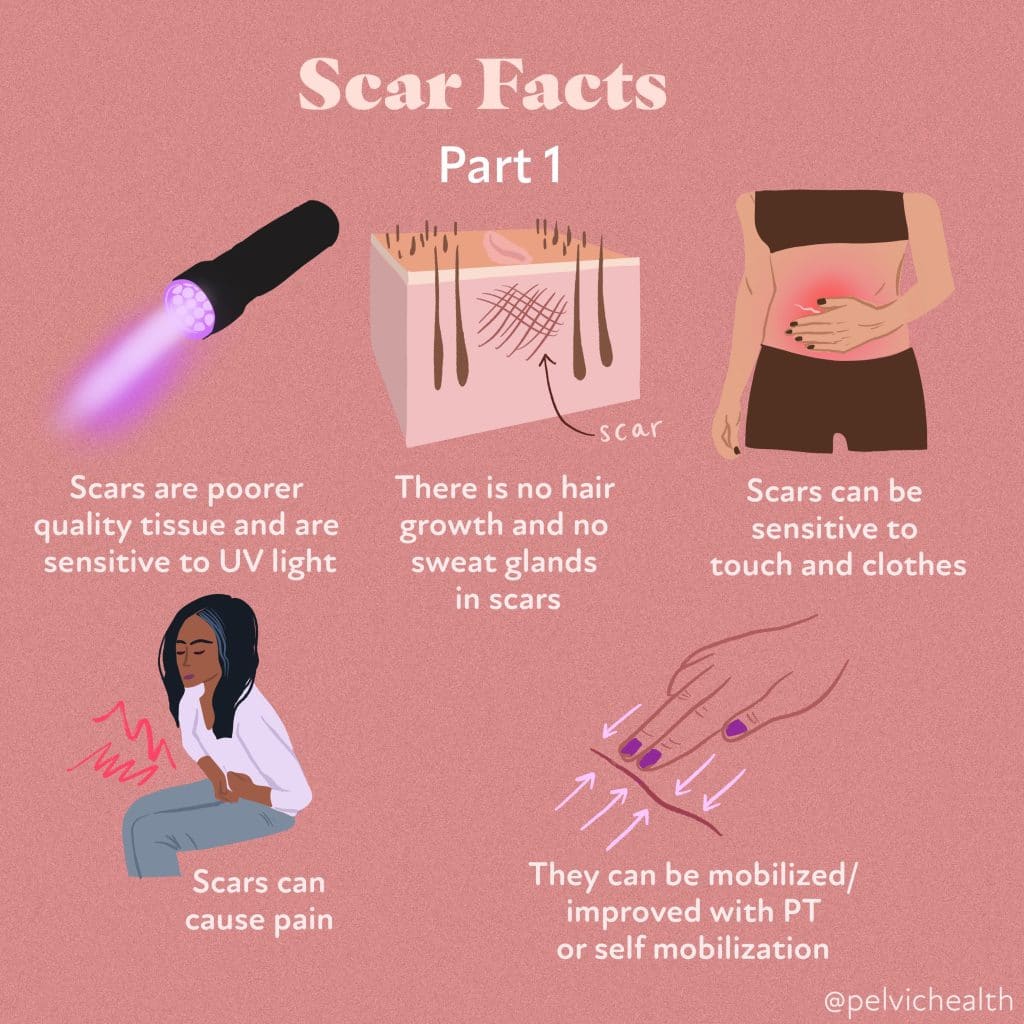 Scar Facts PT1