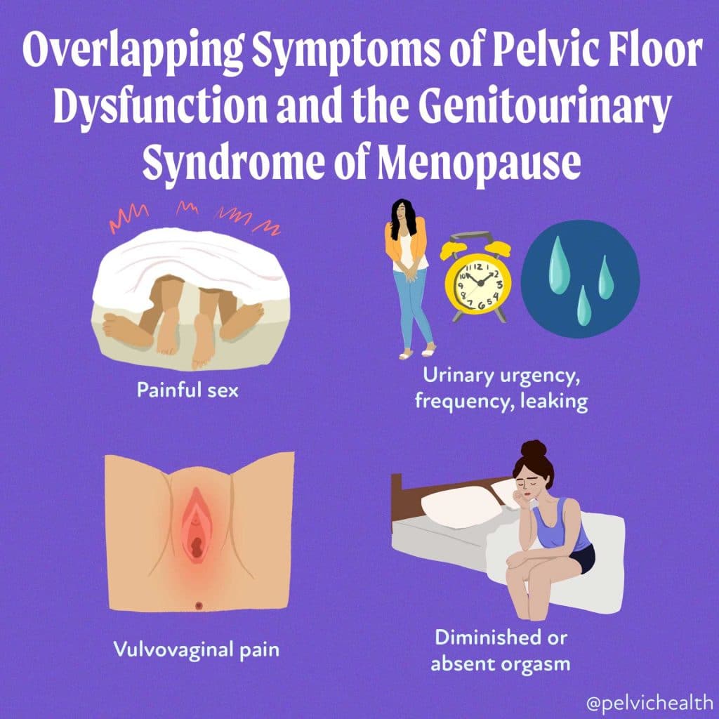 Pelvic Floor Dysfunction Pelvic Floor Dysfunction