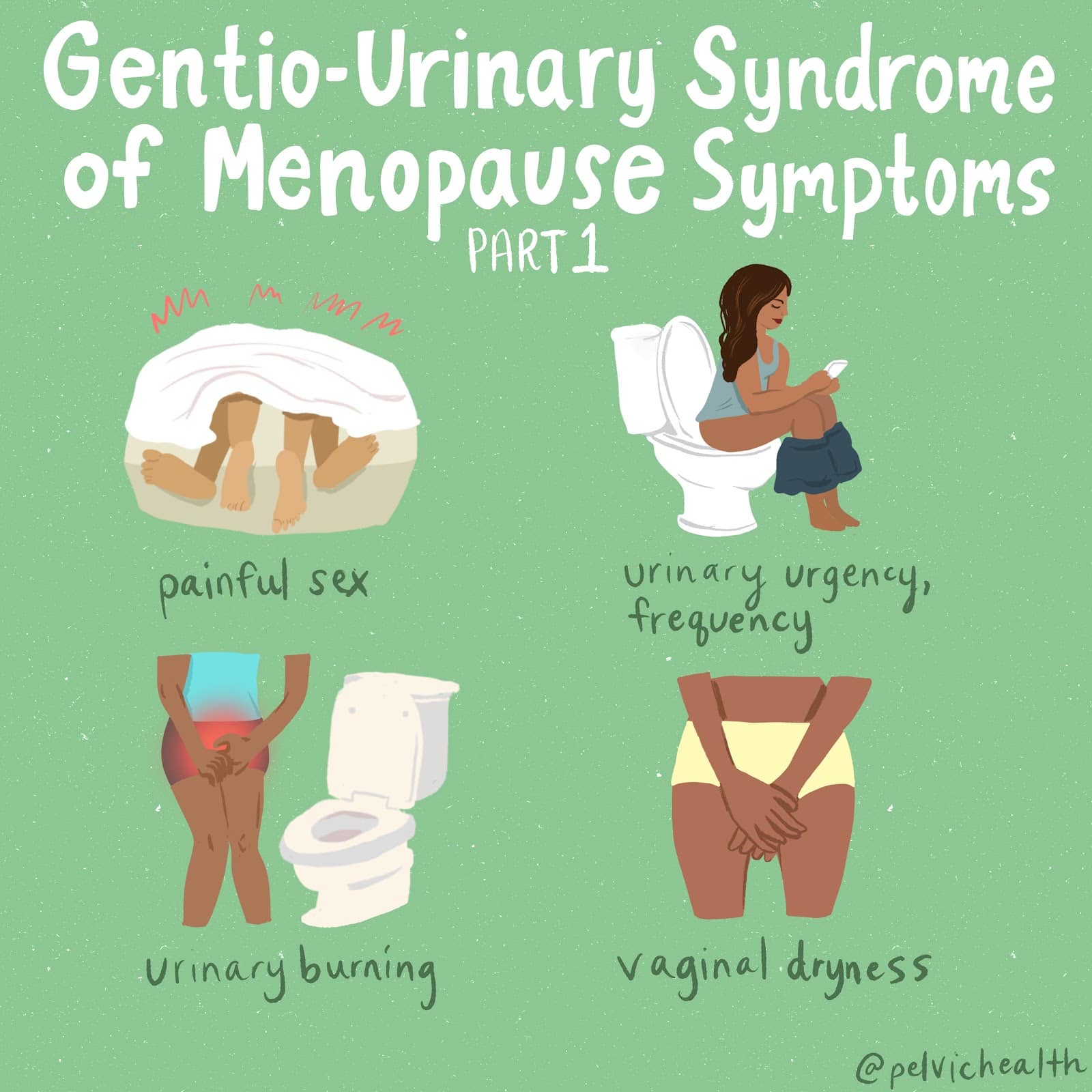 gentio-urinary 1 gentio-urinary 1