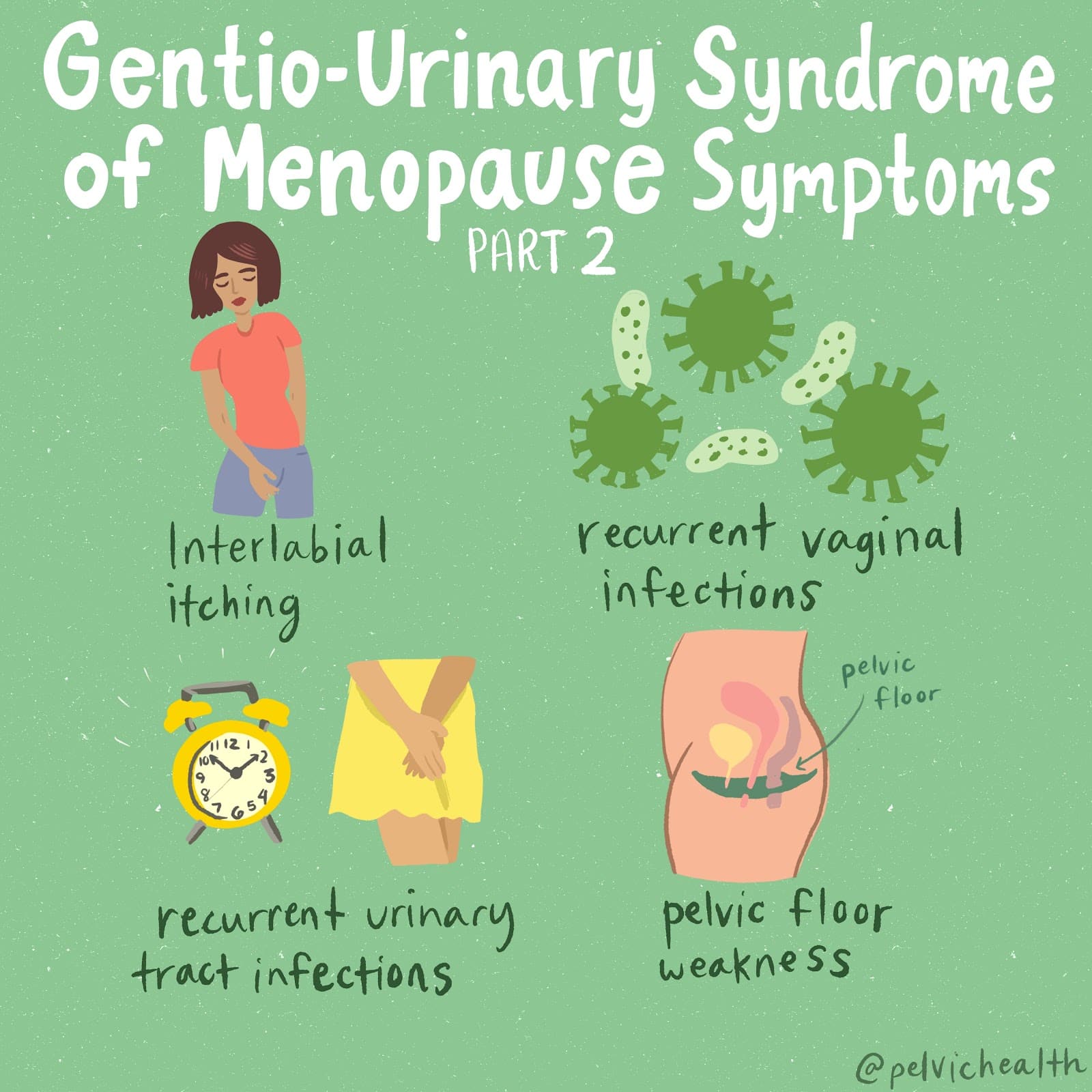 gentio-urinary 2 gentio-urinary 2