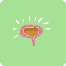 Bladder Dysfunction