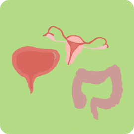 Pelvic Organ Prolapse