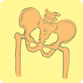 Pelvic Pain