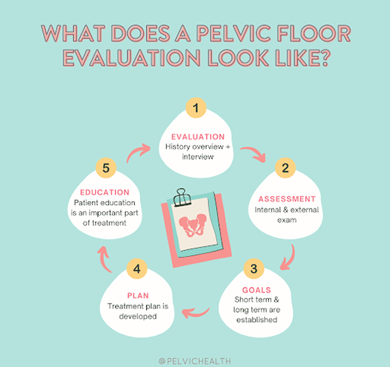 unnamed (1)456464 WHAT DOES A PELVIC FLOOR EVALUATION