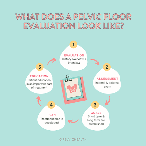 unnamed (1)456464 WHAT DOES A PELVIC FLOOR EVALUATION