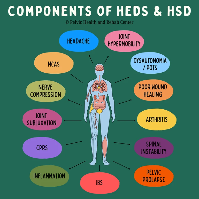 Components of heds and HSD