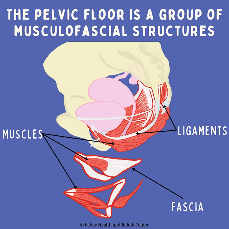 Pelvic Floor Therapy Improves Sexual Function